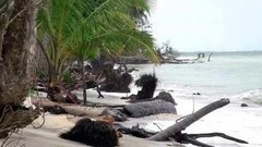 В мире. Уничтожены пляжи. Доброе утро. Фрагмент выпуска от 08.12.2015