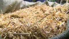 Биотопливо из соломы