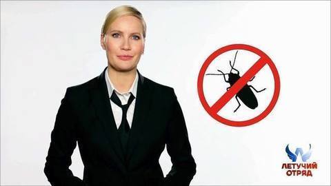 Санитарные нормы в школе. Советы от Елены Летучей. Летучий отряд. Фрагмент выпуска от 23.12.2017