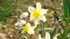 Весна, ты где? Доброе утро. Фрагмент выпуска от 23.03.2016
