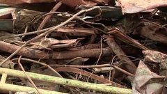 Похитители металлолома. Доброе утро. Фрагмент выпуска от 19.04.2016