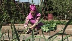 Дачные хлопоты. Доброе утро. Фрагмент выпуска от 27.05.2016