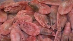 Замороженные креветки в панцире. Победитель программы. Контрольная закупка. Фрагмент выпуска от 31.05.2016