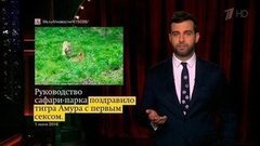 О романтичном тигре, молодом отце Ронни Вуде и правдивом переводе с английского. Новости от Ивана. Вечерний Ургант. Фрагмент выпуска от 02.06.2016