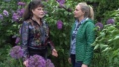 Сирень. Фазенда. Фрагмент выпуска от 03.07.2016