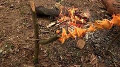 Как засушить грибы во время лесной прогулки. Доброе утро. Фрагмент выпуска от 05.08.2016