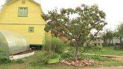 Готовим дачу к зимней спячке. Доброе утро. Фрагмент выпуска от 30.09.2016