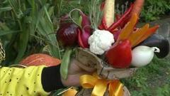Букет из овощей. Фазенда. Фрагмент выпуска от 02.10.2016