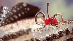 Где прячутся трансжиры. Доброе утро. Фрагмент выпуска от 14.11.2016