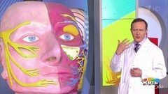 Синусит и гайморит — последствия насморка. Жить здорово! Фрагмент выпуска от 15.03.2017