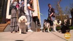 В мире. Национальный праздник Испании. Доброе утро. Фрагмент выпуска от 23.06.2017