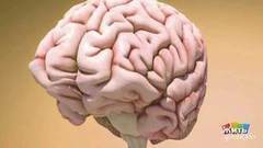 Позиционное головокружение. Жить здорово! Фрагмент выпуска от 06.12.2017