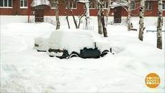 Снег — долой! Доброе утро. Фрагмент выпуска от 25.01.2018
