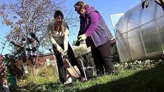 Время сажать деревья. Доброе утро. Фрагмент выпуска от 09.10.2015