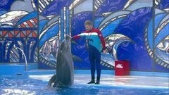 Максим Шарафутдинов. Выступление. Вместе с дельфинами. Фрагмент выпуска от 10.10.2015