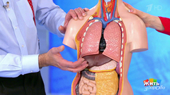 Как справиться с икотой? Жить здорово! Фрагмент выпуска от 20.04.2018