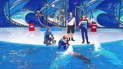 Лариса Долина и Максим Шарафутдинов. Парный проезд. Профайл. Вместе с дельфинами. Фрагмент выпуска от 17.10.2015
