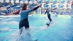 Светлана Журова и Тина Кузнецова. Парный проезд. Профайл. Вместе с дельфинами. Фрагмент выпуска от 17.10.2015