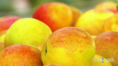 Мифы про натуральные продукты. Теория заговора. Выпуск от 08.09.2018