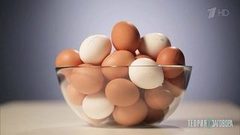 Осенняя хандра. Теория заговора. Выпуск от 10.11.2018