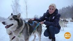 Тест-драйв собачьей упряжки. Доброе утро. Фрагмент выпуска от 27.12.2018