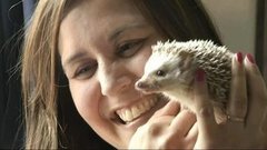 В мире. Всемирный день домашних животных. Доброе утро. Фрагмент выпуска от 30.11.2015