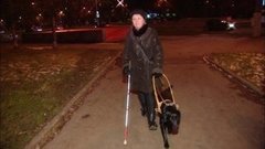 Экзамен для поводыря