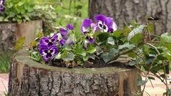 Новогодний Сочи. Доброе утро. Фрагмент выпуска от 31.12.2015