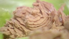 Консервированный тунец