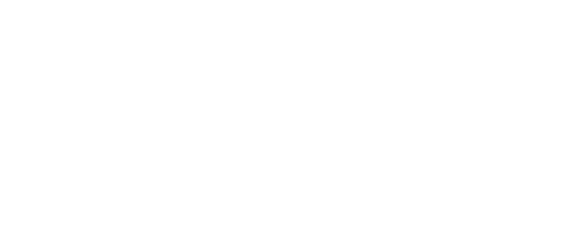 Турнир шоу-программ «Русский вызов» 2027