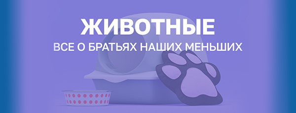 Животные