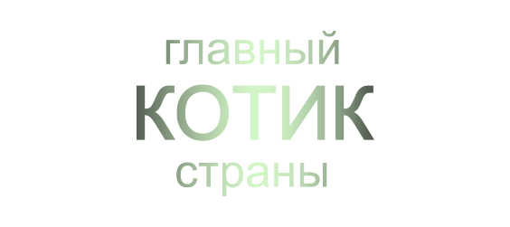 Главный котик страны