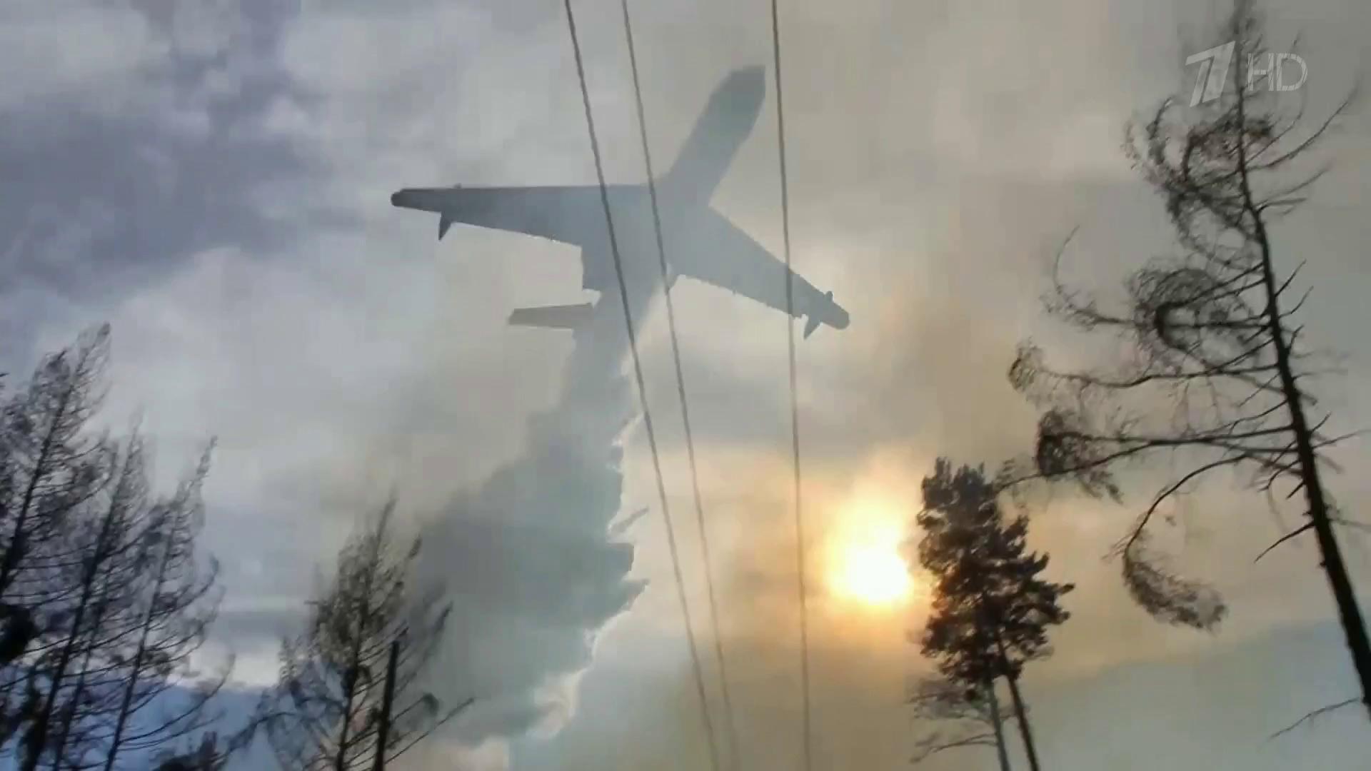 Новости нашли динозавра видео
