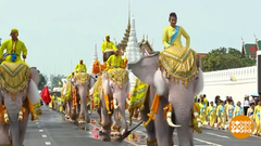В мире. Слоны для короля. Доброе утро. Фрагмент выпуска от 27.05.2019