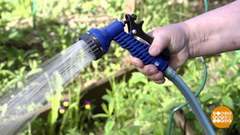 Шланг ты мой садовый. Доброе утро. Фрагмент выпуска от 29.05.2019