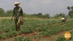 В мире. Туристический бум. Доброе утро. Фрагмент выпуска от 14.06.2019