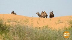 Вода дороже золота. Доброе утро. Фрагмент выпуска от 17.06.2019