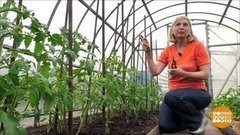 Все в сад! И в огород! Доброе утро. Фрагмент выпуска от 21.06.2019