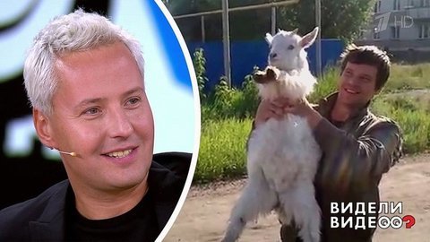 Пародии на Витаса: поют хаски, коза и чихуахуа. Видели видео? Фрагмент выпуска от 23.06.2019