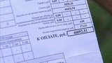 В Краснодаре разбираются в запутанной истории с платежками за свет