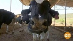 В мире. Новый способ сохранения молока. Доброе утро. Фрагмент выпуска от 03.07.2019