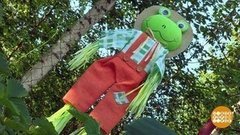 Птички, кыш! Доброе утро. Фрагмент выпуска от 04.07.2019