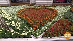 Фестиваль цветов в ГУМе. Доброе утро. Фрагмент выпуска от 04.07.2019