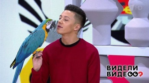 Видели видео? Часть 2. Выпуск от 07.07.2019