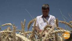 Хлеба хватит на всех! Доброе утро. Фрагмент выпуска от 08.07.2019