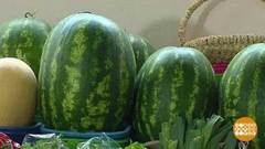 Толстей, мой арбуз! Доброе утро. Фрагмент выпуска от 08.07.2019