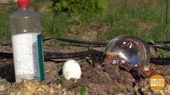 Беги, крот, беги! Доброе утро. Фрагмент выпуска от 09.07.2019