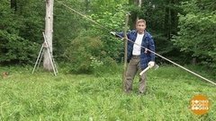 Дмитрий Талабуев пилит дерево. Доброе утро. Фрагмент выпуска от 11.07.2019