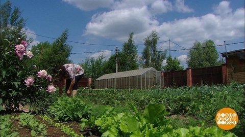 Земли много не бывает? Доброе утро. Фрагмент от 18.07.2019