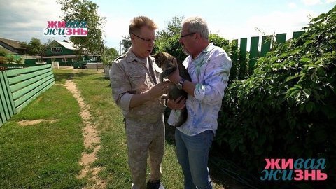 Живая жизнь. Выпуск от 21.07.2019
